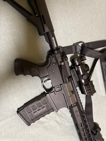 Imagen 3 de CM 16 SRL M4 van het merk G&G.