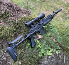 Afbeelding van WE M14 EBR Custom RA-tech