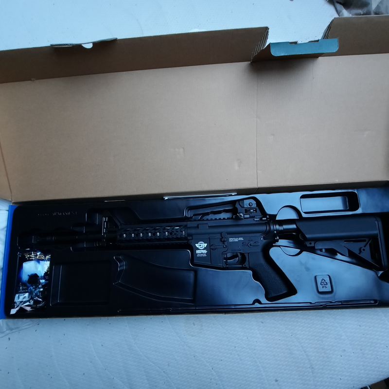 Image 1 pour G&G CM16 Raider L