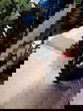 Bild für Grenade launcher met 6 shells te koop