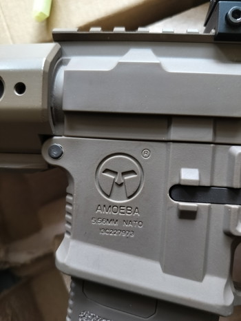 Image 2 pour Amoeba honey badger
