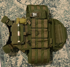 Image for Warrior Assault Platecarrier OD Green