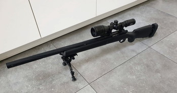 Imagen 3 de SSP24 ( mag vandaag 25 april weg voor 350 )