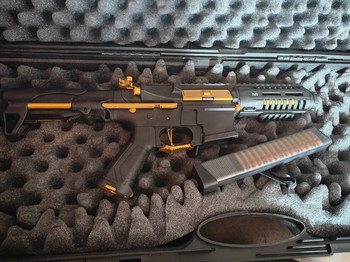 Image 3 pour Arp 9 Gold stealth