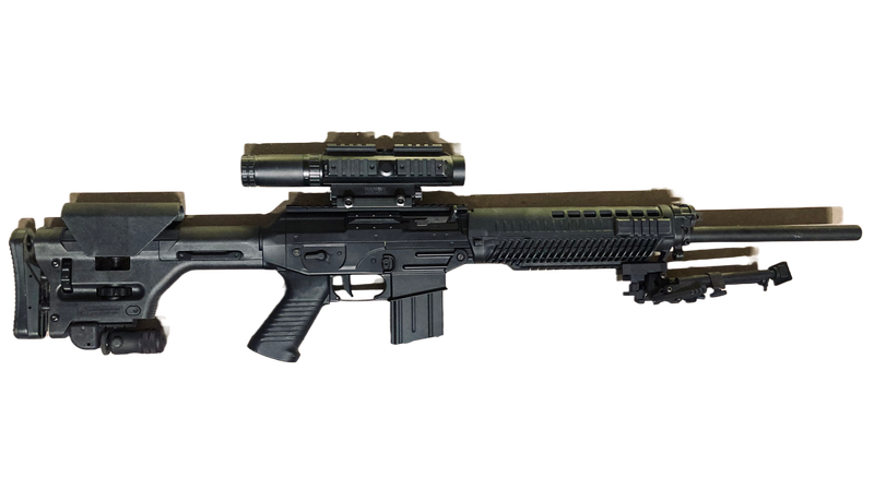 Image 1 for SIG556 DMR fully equipped