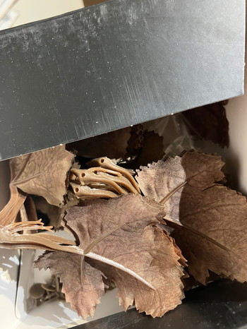 Bild 8 für Ghillie novritsch