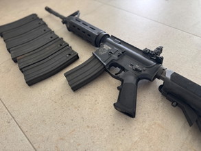 Bild für Systema ptw