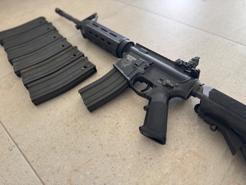 Bild 1 für Systema ptw