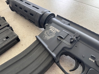 Bild 2 für Systema ptw