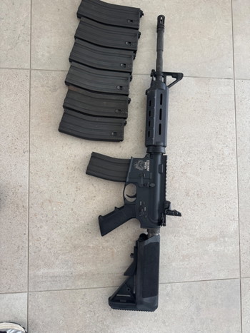 Bild 3 für Systema ptw