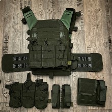 Image for Shadow Elite platecarrier OD groen - Met pouches!