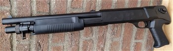 Image 3 for ASG Franchi SAS-12 Shotgun (Short)