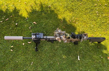 Image 2 for Hele mooie DMR SET