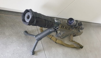 Imagen 2 de DMR amoeba  met GAMO scope