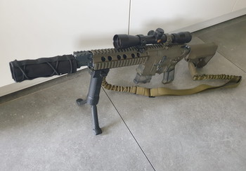 Imagen 7 de DMR amoeba  met GAMO scope