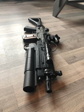 Bild für SIG 551/GL5140