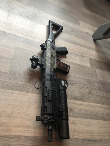 Bild 4 für SIG 551/GL5140