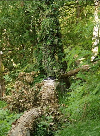 Image 4 pour Ghillie Arcturus