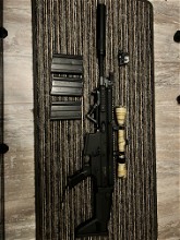 Image for Scar H Hpa