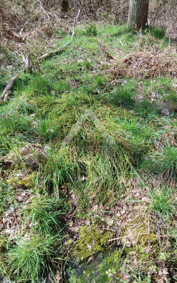 Image 4 for Ghillie suit raffia groen