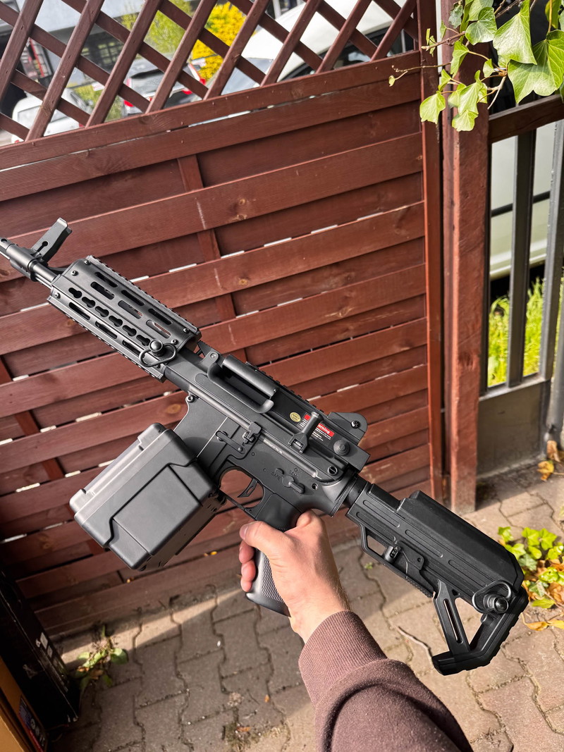 Image 1 pour 6670 LMG Golden Eagle