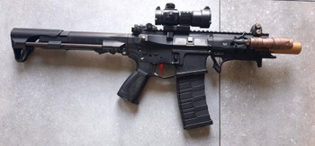 Image 5 pour ARP556 upgrade