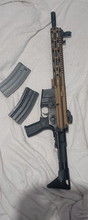 Image for AR 15