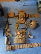 Image for Diverse plate carriers