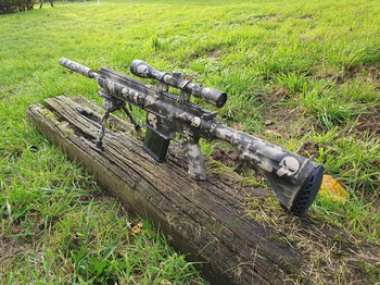 Image 2 pour Te koop Hk417 met custom skulls paintjob
