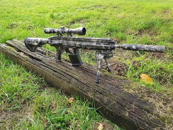 Image 3 pour Te koop Hk417 met custom skulls paintjob