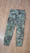 Image pour Kryptek mandrake pants