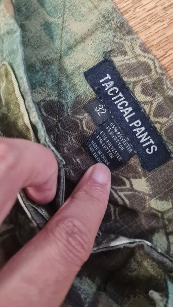 Image 3 pour Kryptek mandrake pants