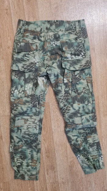 Image 4 pour Kryptek mandrake pants