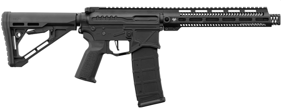 Imagen para R15 mod 1 Zion Arms black | Met scope en accessoires