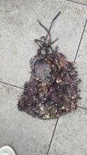Bild für Jack pyke ghillie mask