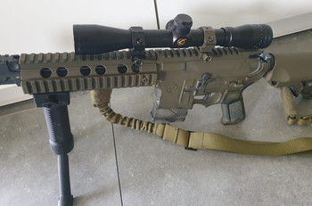 Afbeelding 3 van DMR amoeba met GAMO scope