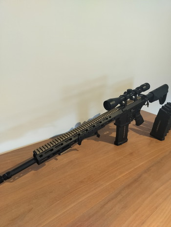 Image 5 for SR-25 Kythera