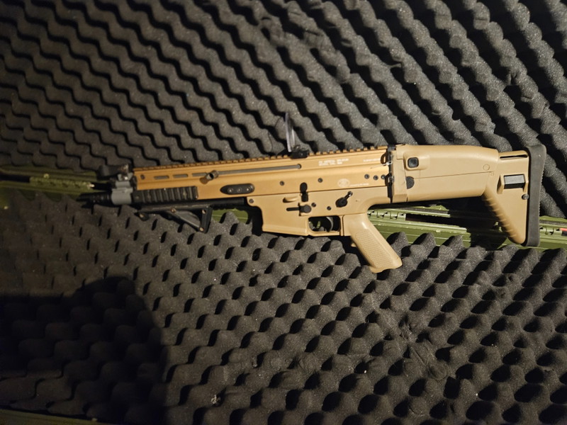 Image 1 for Tm scar