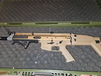 Image 2 for Tm scar