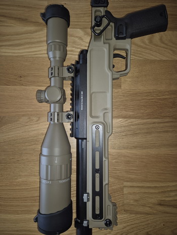 Imagen 5 de Begadi BSR in Meapeleafe Stock