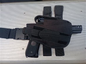 Image pour Beenholster