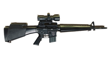 Image for M16 custom GOLGO inspiration