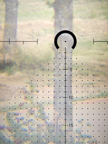 Image 5 for Victoptics LPVO
