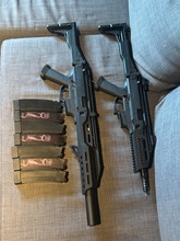 Afbeelding van 2 prachtige cz scorpions ( 1 hpa - 1 aeg )
