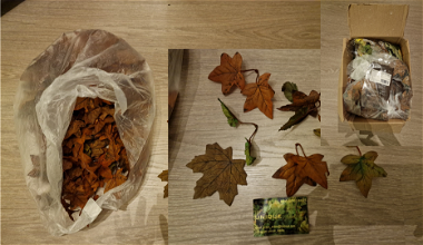 Image for Assortiment leaves