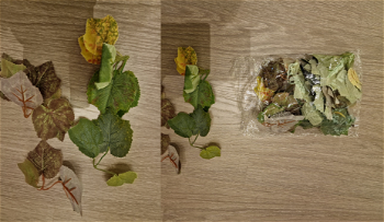 Image 4 for Assortiment leaves