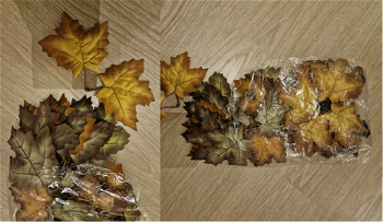 Image 5 for Assortiment leaves
