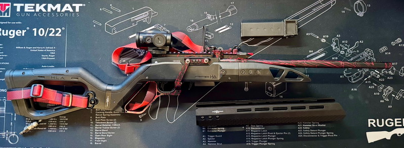 Bild 1 für Custom RogueWorx vampire build