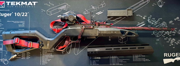 Bild für Custom RogueWorx vampire build