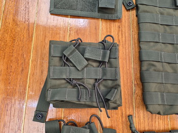 Image 4 for Diverse OD Green pouches